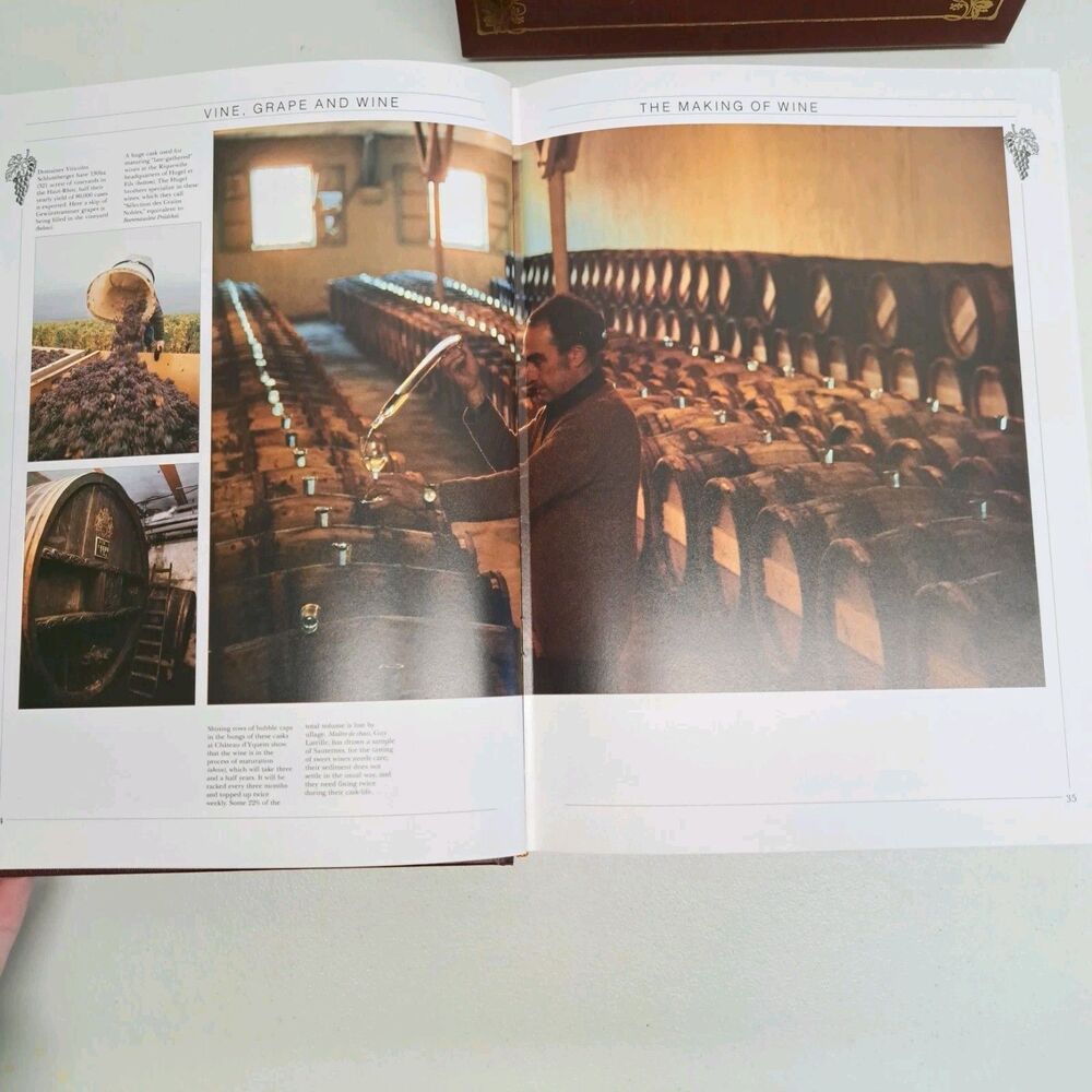 The Book of Wine Norman Bezzant Boxed Hard Cover Book Color Illustrated 1989 - Picture 4 of 6